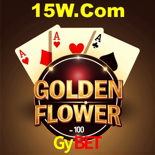 Interface Premium Gybet